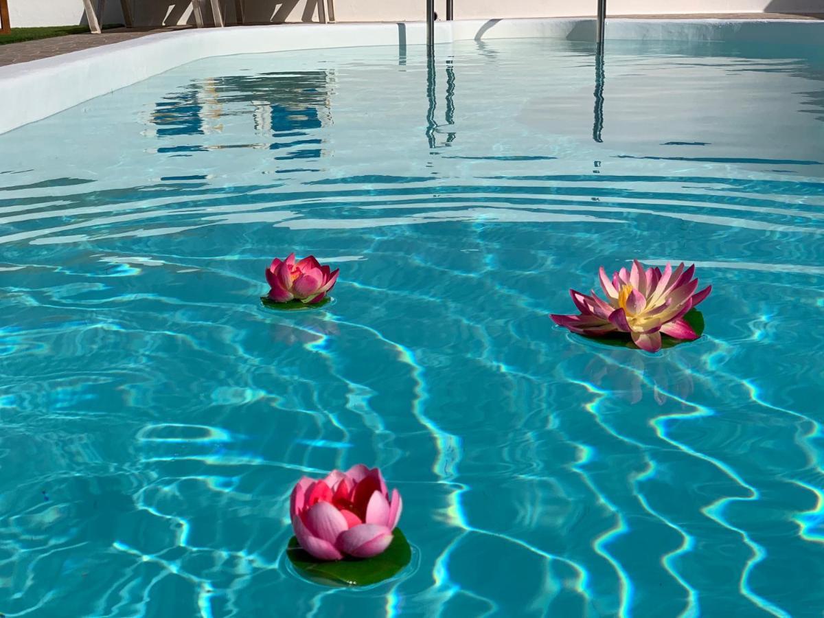 Pico Partido Villa Heated Pool Тингуатон Экстерьер фото
